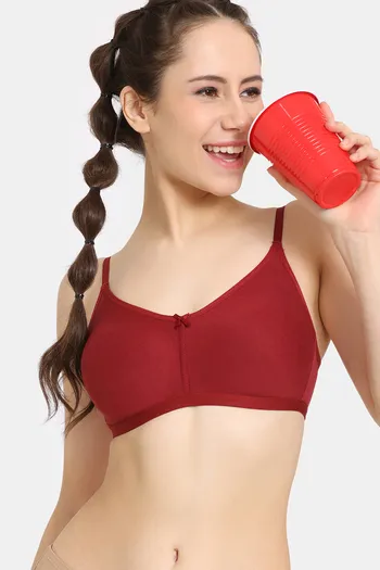 Buy Rosaline Everyday Anti-Microbial Double Layered Non Wired 3/4th Coverage T-Shirt Bra - Sundried Tomato